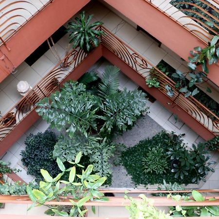 סן פדרו סולה Hotel Martell מראה חיצוני תמונה